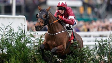 tiger roll stats|Tiger Roll eases to victory in the Gelfarclas Chase.